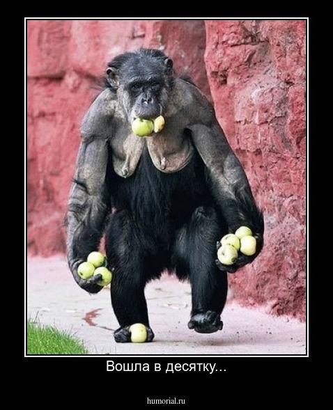 Вошла в десятку...