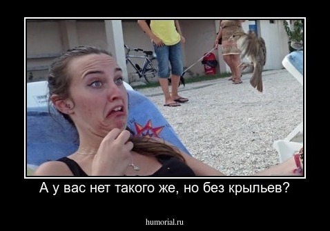  А у вас нет такого же, но без крыльев?