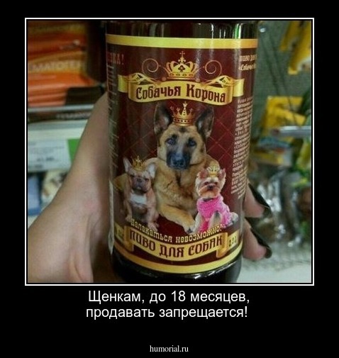 Щенкам, до 18 месяцев, продавать запрещается!