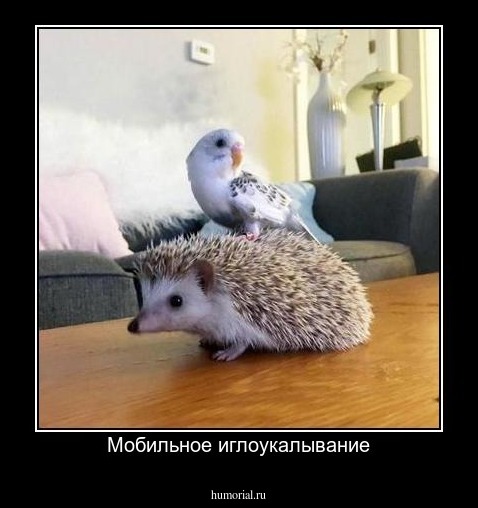 Мобильное иглоукалывание