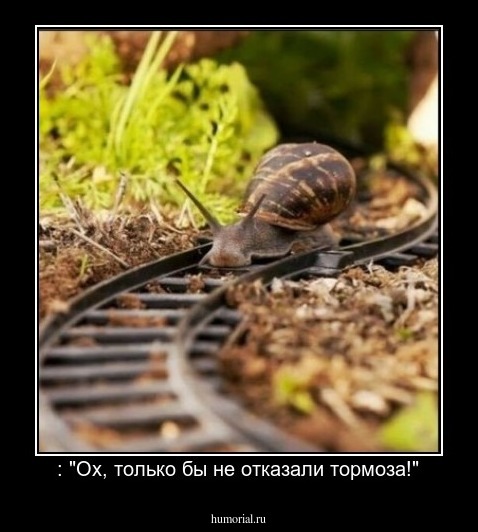  : "Ох, только бы не отказали тормоза!"