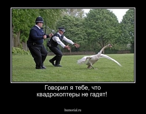 Говорил я тебе, что квадрокоптеры не гадят!