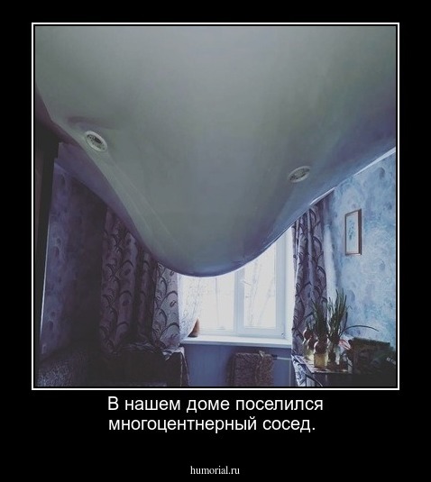 В нашем доме поселился многоцентнерный сосед.