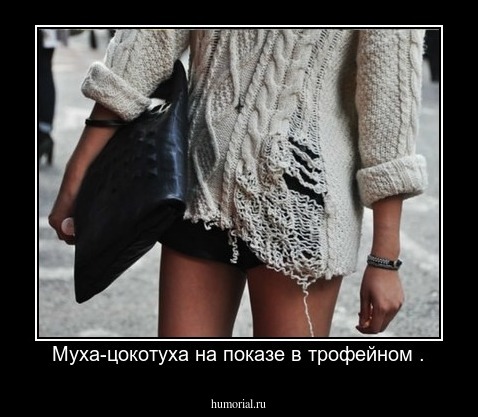 Муха-цокотуха на показе в трофейном .