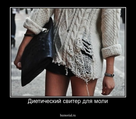 Диетический свитер для моли