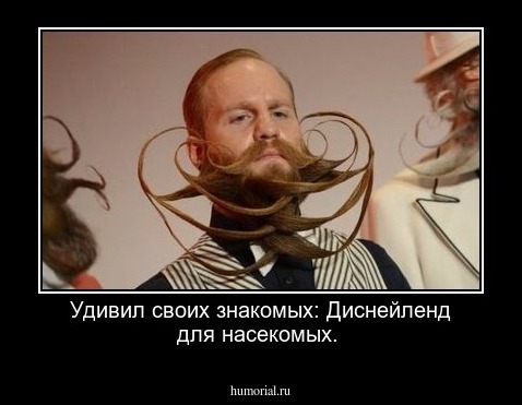  Удивил своих знакомых: Диснейленд для насекомых.
