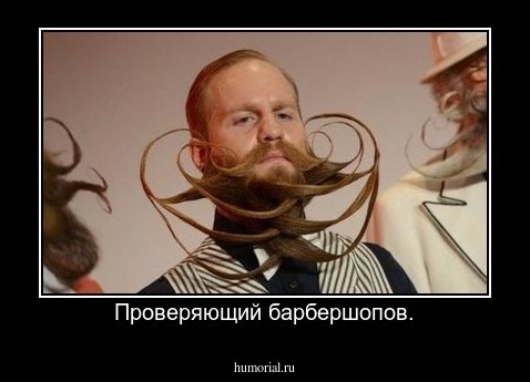 Проверяющий барбершопов.