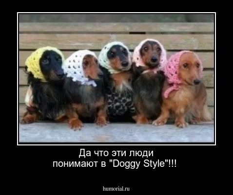 Да что эти люди понимают в "Doggy Style"!!! 
