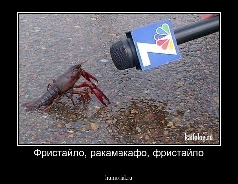 Фристайло, ракамакафо, фристайло