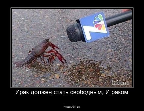 Ирак должен стать свободным, И раком