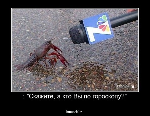  : "Скажите, а кто Вы по гороскопу?"