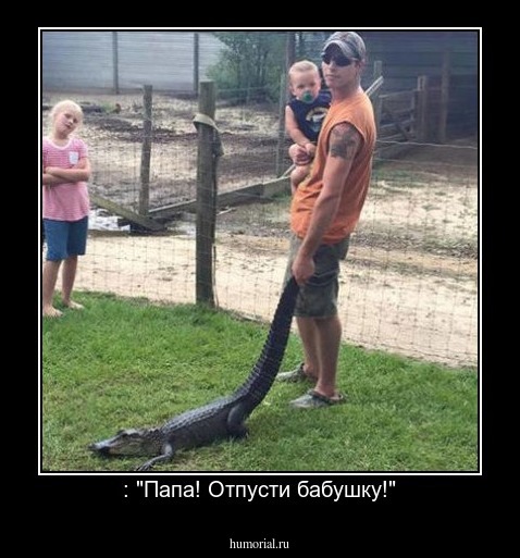 : "Папа! Отпусти бабушку!"