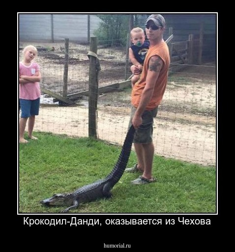 Крокодил-Данди, оказывается из Чехова