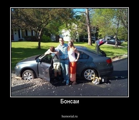 Бонсаи