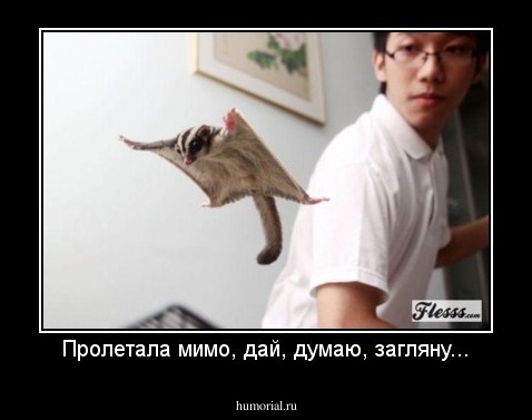 Пролетала мимо, дай, думаю, загляну...