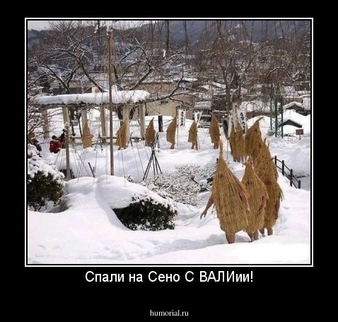 Спали на Сено С ВАЛИии!