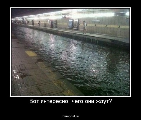 Вот интересно: чего они ждут?