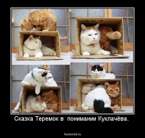 Сказка Теремок в  понимании Куклачёва. 