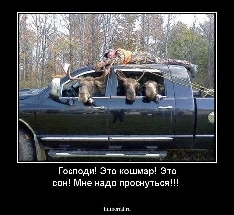 Господи! Это кошмар! Это сон! Мне надо проснуться!!!