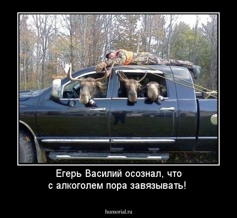 Егерь Василий осознал, что с алкоголем пора завязывать!