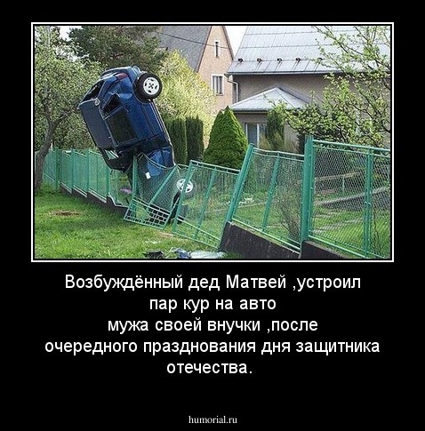 Возбуждённый дед Матвей ,устроил пар кур на авто мужа своей внучки ,после очередного празднования дня защитника отечества.