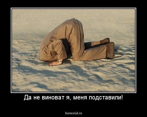 Да не виноват я, меня подставили!