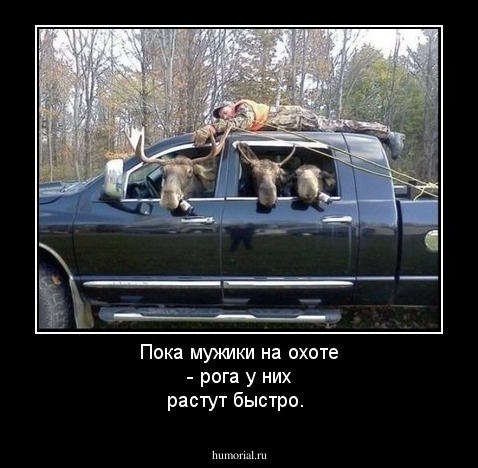 Пока мужики на охоте - рога у них растут быстро.