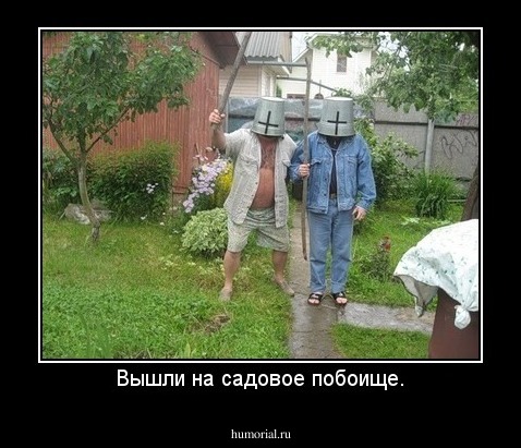 Вышли на садовое побоище.