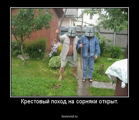 Крестовый поход на сорняки открыт.