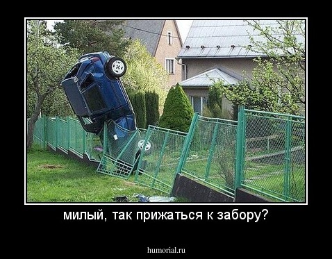 милый, так прижаться к забору?