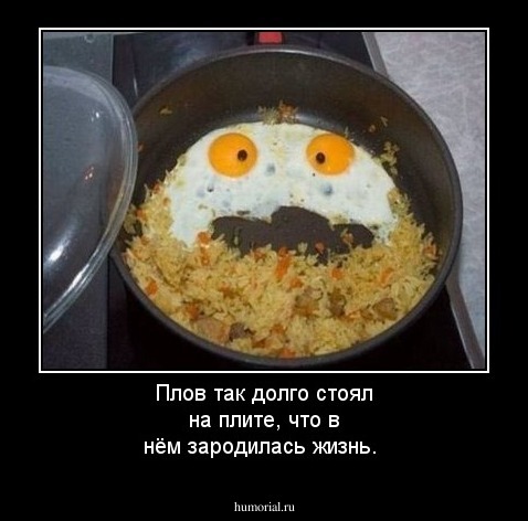 Плов так долго стоял на плите, что в нём зародилась жизнь.