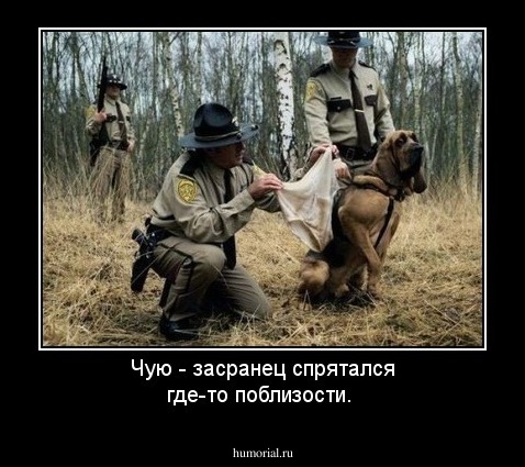 Чую - засранец спрятался где-то поблизости.