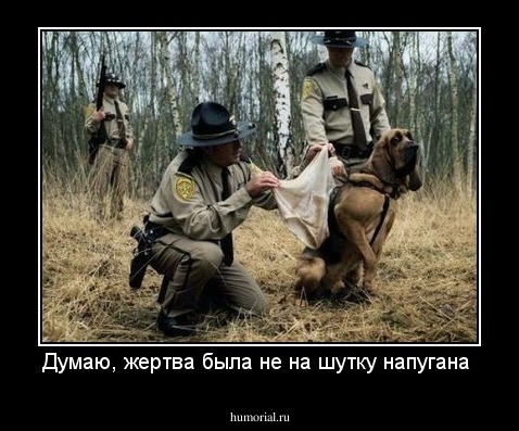 Думаю, жертва была не на шутку напугана 