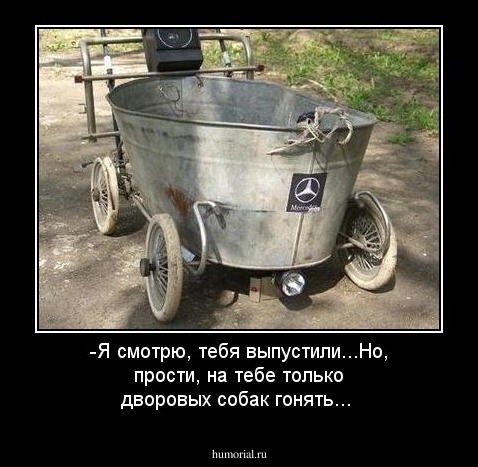 -Я смотрю, тебя выпустили...Но, прости, на тебе только дворовых собак гонять...