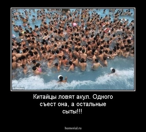Китайцы ловят акул. Одного съест она, а остальные сыты!!!
