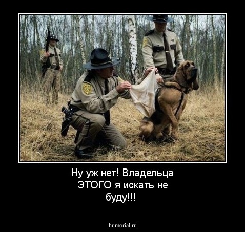 Ну уж нет! Владельца ЭТОГО я искать не буду!!!