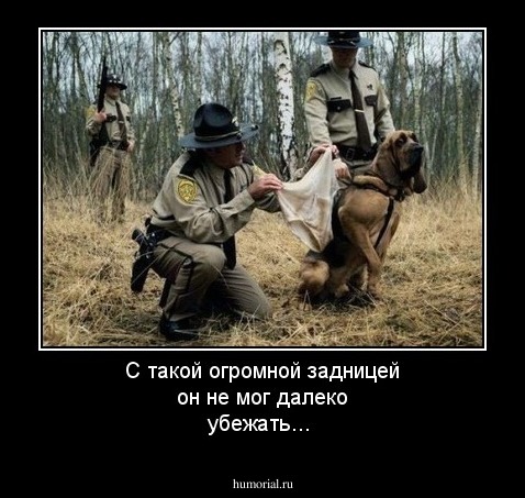 С такой огромной задницей он не мог далеко убежать...