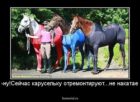 Ну-ну-ну!Сейчас карусельку отремонтируют...не накатаетесь!