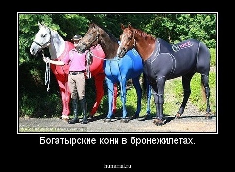 Богатырские кони в бронежилетах.