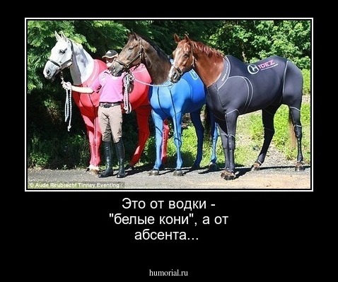 Это от водки - "белые кони", а от абсента...
