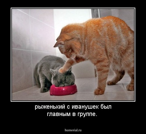 рыженький с иванушек был главным в группе.