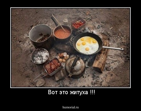  Вот это житуха !!!