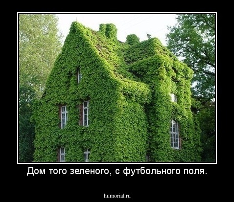 Дом того зеленого, с футбольного поля.