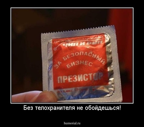 Без телохранителя не обойдешься!