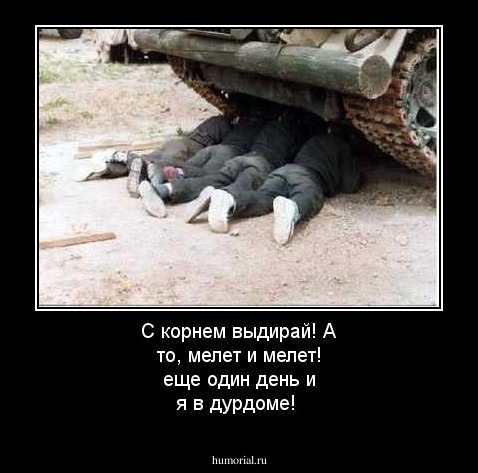 С корнем выдирай! А то, мелет и мелет!  еще один день и я в дурдоме!