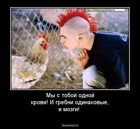 Мы с тобой одной крови! И гребни одинаковые, и мозги!