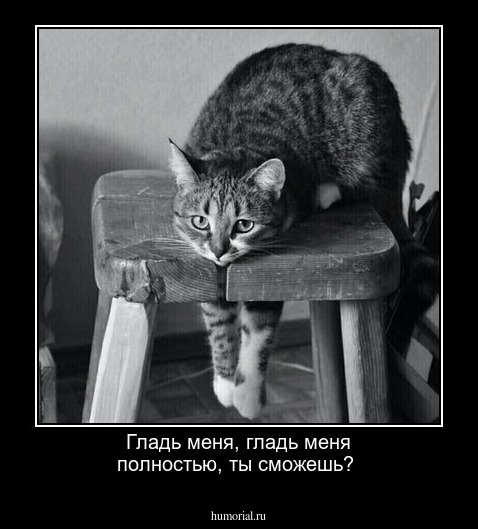Гладь меня, гладь меня полностью, ты сможешь? 