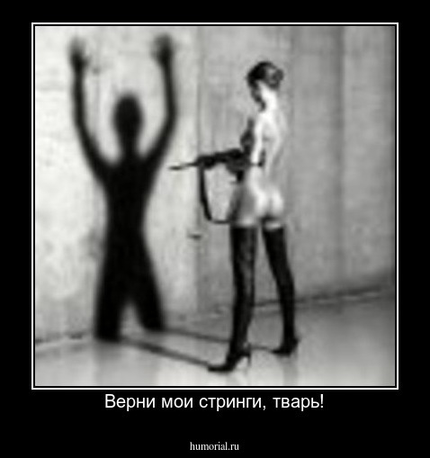  Верни мои стринги, тварь!