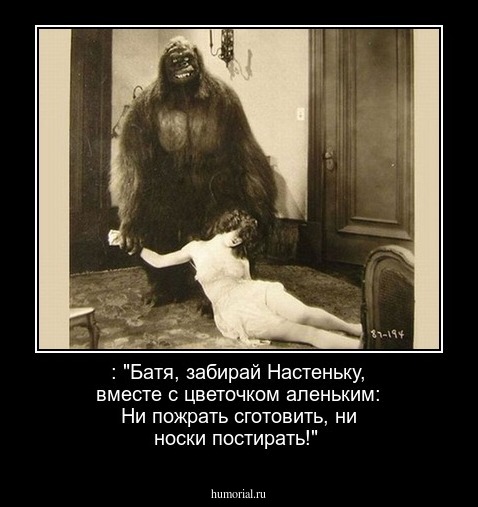  : "Батя, забирай Настеньку, вместе с цветочком аленьким: Ни пожрать сготовить, ни носки постирать!"