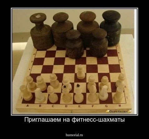 Приглашаем на фитнесс-шахматы